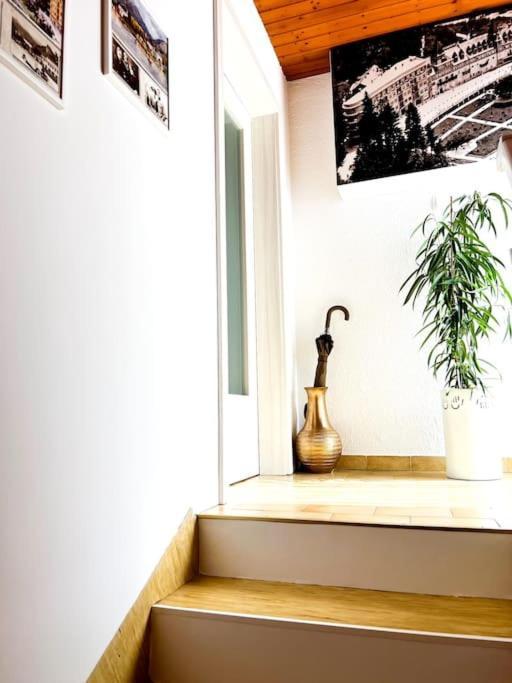 Apartma Kenda Bled Exteriör bild